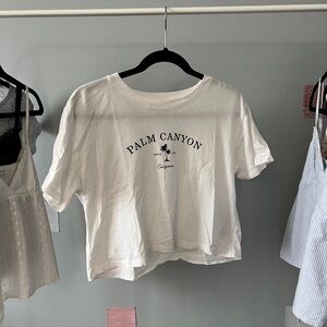 Hollister palm canyon crop top